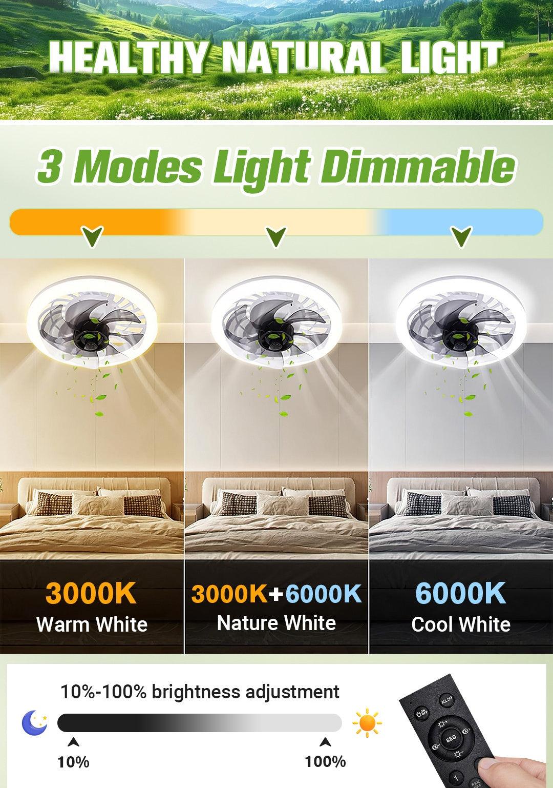Ventilateur plafonnier silencieux réglable 2-en-1 avec télécommande